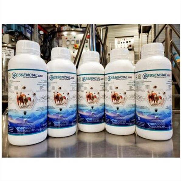 023c40d1-26d3-ee11-8ce0-eb0cd66cfa58