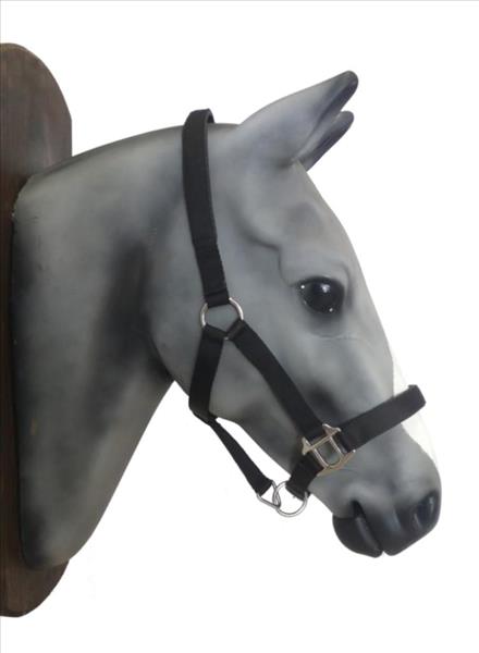 07c23b8b-0a65-ef11-8ae5-9ca2f4d6356b