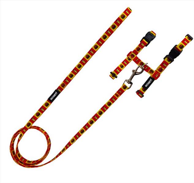 1461864b-8ef9-ef11-8921-9ca2f4d6356b