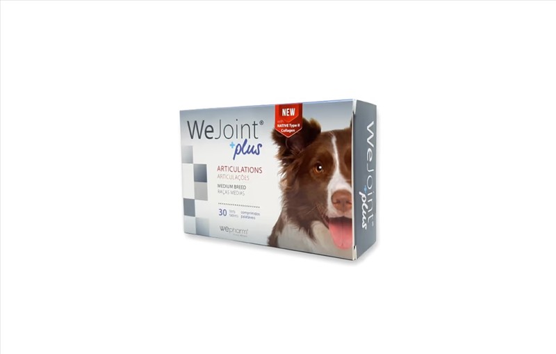 148fffb8-c724-f011-8d1a-bedd89906a57