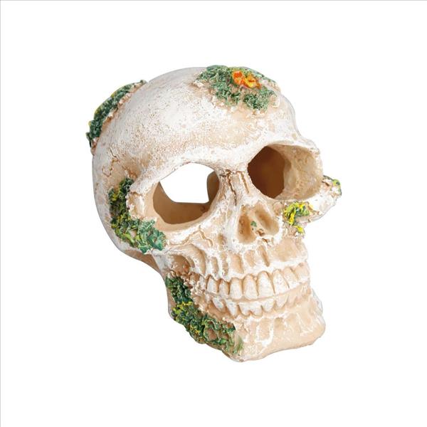 16602ff2-86a2-ef11-99b9-9ca2f4d6356b