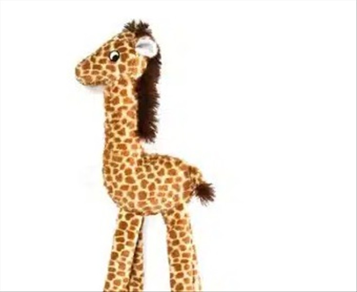 181e114b-6722-f011-8d1a-bedd89906a57