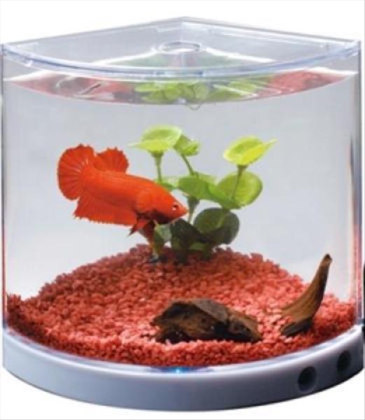 1c26d514-4561-ef11-adba-9ca2f4d6356b