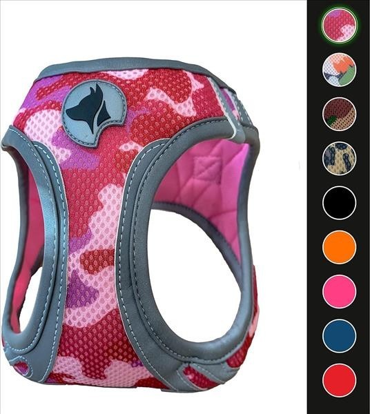 1f0b12a4-4a1f-f011-8d19-cb3156cf5538