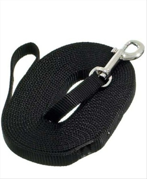 1f1a5ad5-061d-f011-8d19-cb3156cf5538