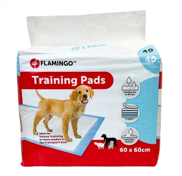 21580425-bd24-f011-8d1a-bedd89906a57