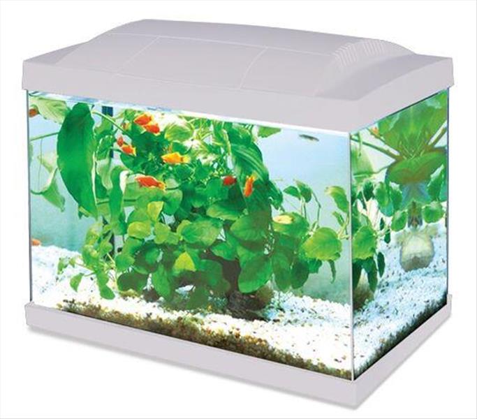 29bbc0c8-4161-ef11-adba-9ca2f4d6356b