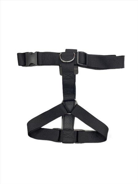 2d7ad9b2-1ae2-ee11-8627-9ca2f4d6356b