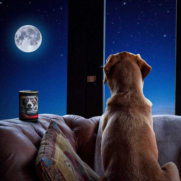 2f97ad9f-d97c-ef11-b5d8-9ca2f4d6356b