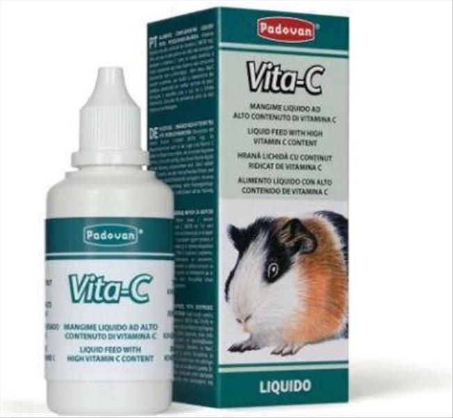 2f99d835-b916-ef11-809b-9ca2f4d6356b