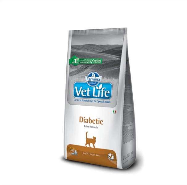 304ed08d-9d2c-f011-8d1b-dc612b956868