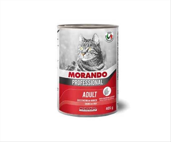 37296420-3a32-f011-a144-9ca2f4d6356b