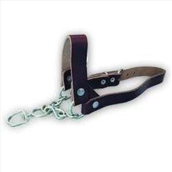 37983e77-34ed-ee11-86c1-9ca2f4d6356b