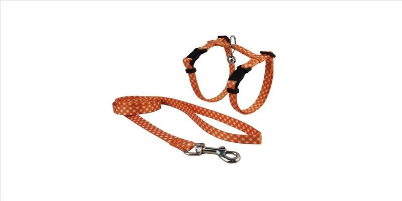 3d694f31-dccf-ee11-9c0b-9ca2f4d6356b