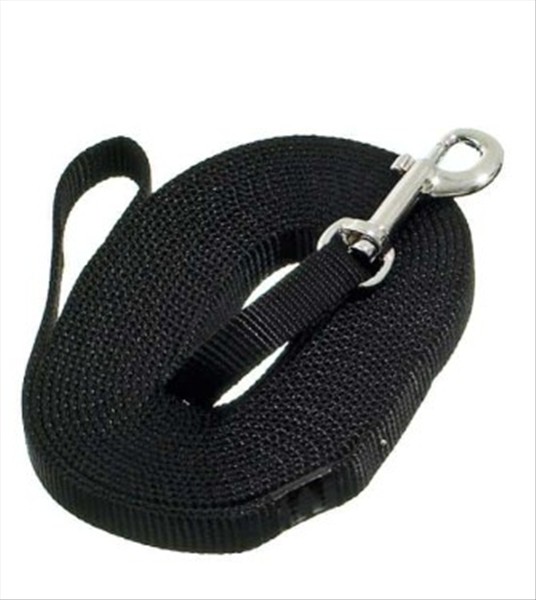 4077b5e5-051d-f011-8d19-cb3156cf5538