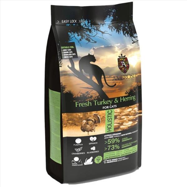 40c3fe2e-e11c-f011-a47d-9ca2f4d6356b