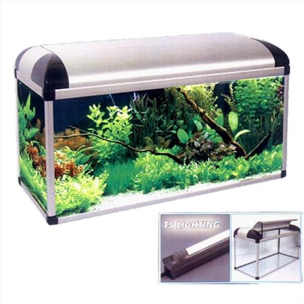 521e141c-a05f-ef11-9d42-9ca2f4d6356b