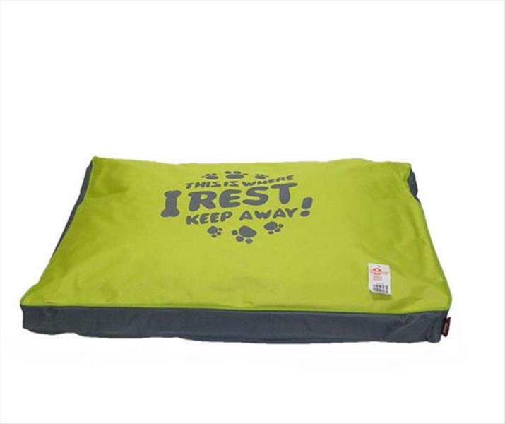 55c5d5a3-d066-ef11-8f05-9ca2f4d6356b