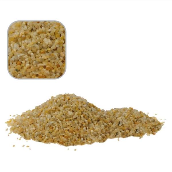 5a8c02e6-2a23-ef11-9daa-9ca2f4d6356b