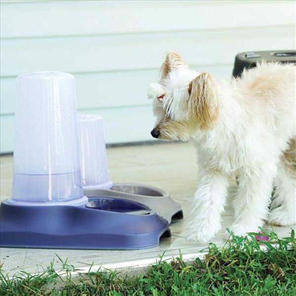 61b2619e-53e0-ee11-9cc1-9ca2f4d6356b