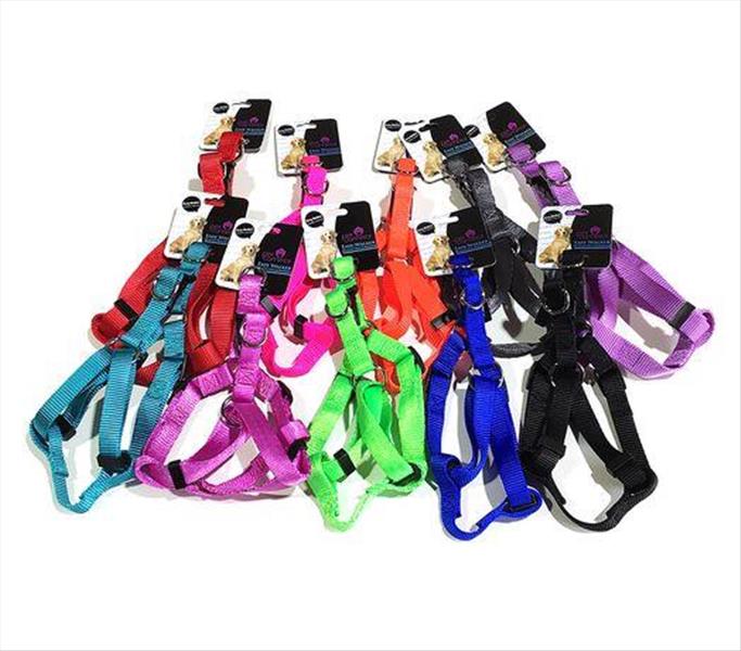 646c20ba-e019-ef11-9d3d-9ca2f4d6356b