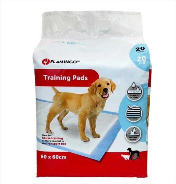 70da610d-7022-f011-8d1a-bedd89906a57