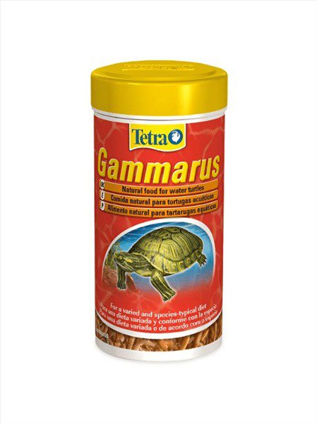 74f40690-1e3d-f011-8d1c-e78704f9d5ae