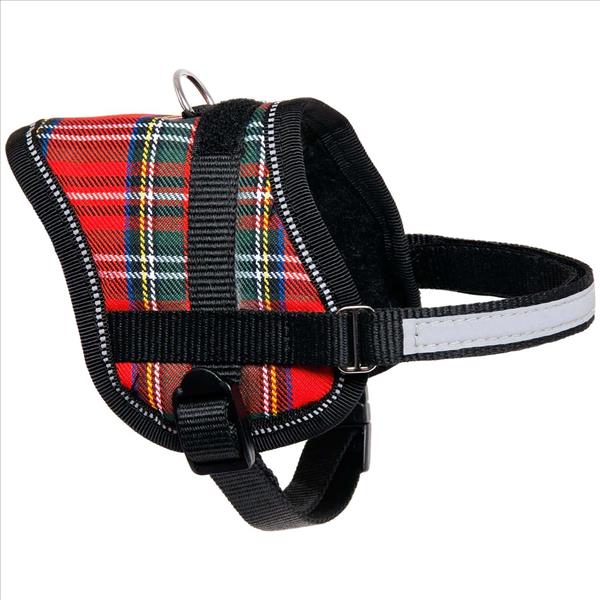 75129a58-269d-ef11-8d01-fc3c6383974b