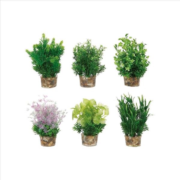 787ac962-28d7-ee11-8c8b-9ca2f4d6356b