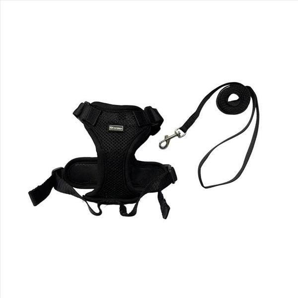 800d83f8-9ad5-ee11-a670-9ca2f4d6356b