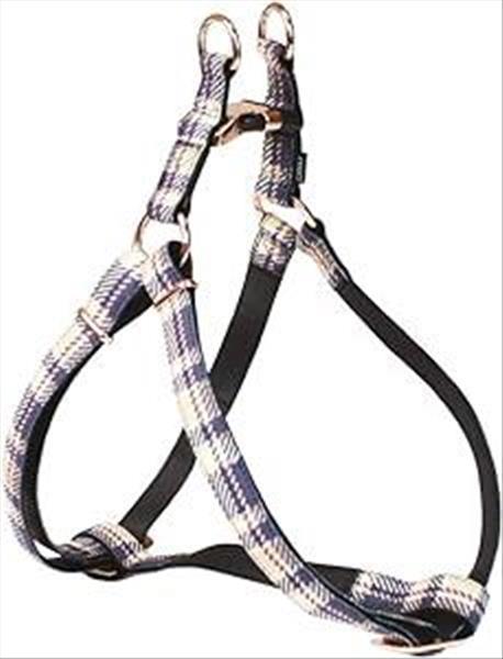 82599fb4-1e2e-ef11-868c-9ca2f4d6356b