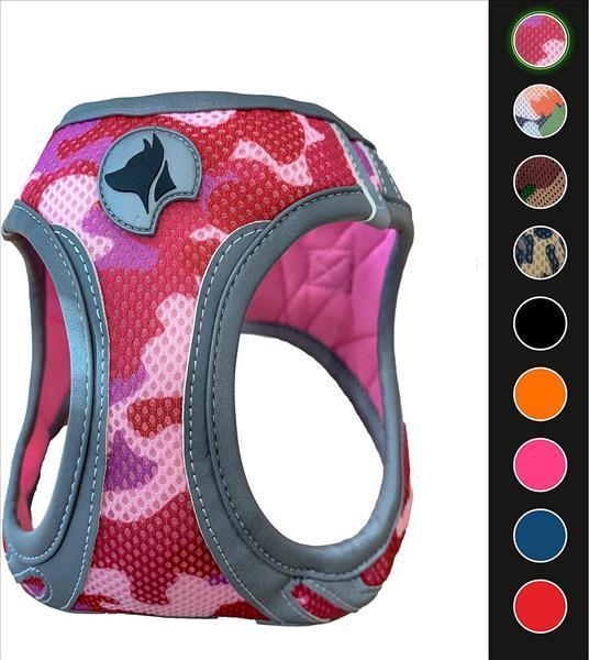 82d80e98-9dd0-ee11-94ee-9ca2f4d6356b