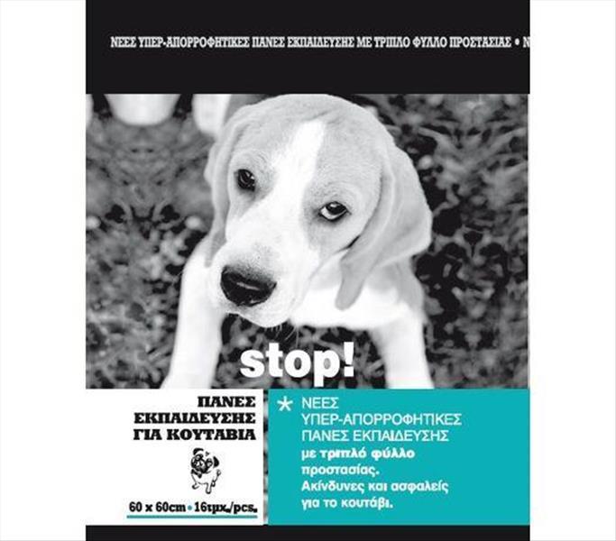 82dd13b2-4211-ef11-a081-9ca2f4d6356b