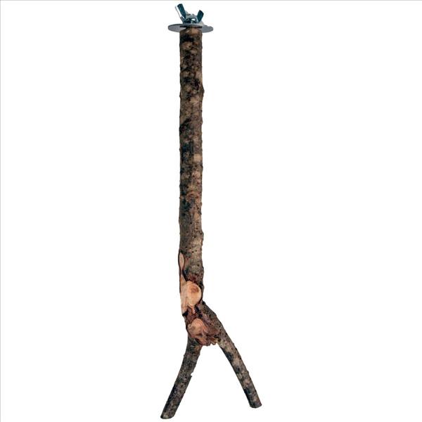 83799577-2d9d-ef11-8d01-fc3c6383974b