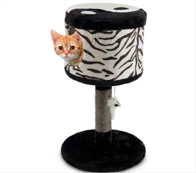 86c0a37f-d211-ef11-99ae-9ca2f4d6356b