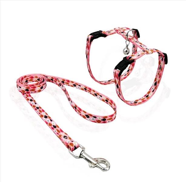 86d025eb-3e53-ef11-a03b-9ca2f4d6356b