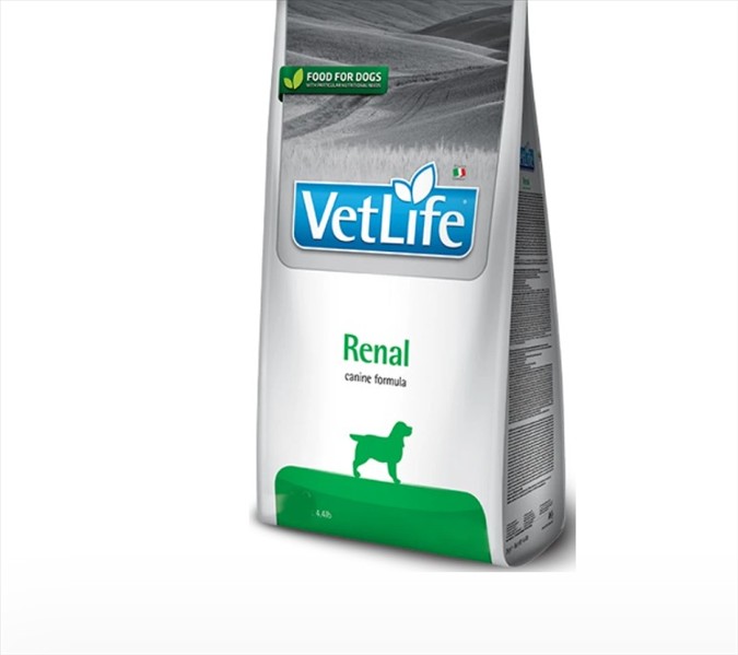 8ab79b10-a02c-f011-8d1b-dc612b956868