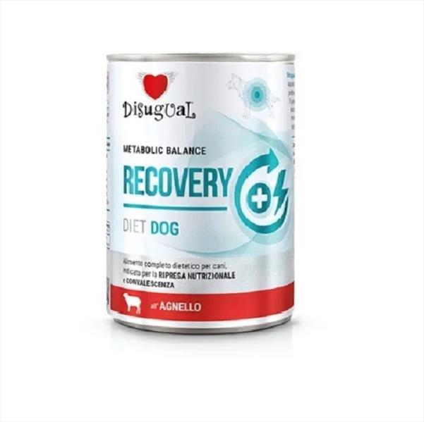 8d102b61-eb36-f011-93de-9ca2f4d6356b