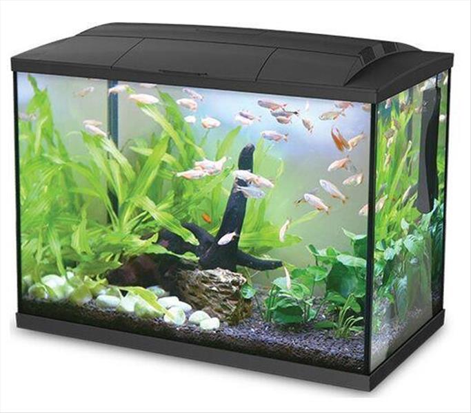 94117a87-4361-ef11-adba-9ca2f4d6356b