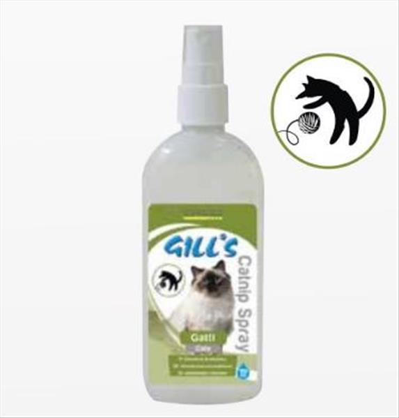 950d3c04-5d77-ef11-a8f1-9ca2f4d6356b