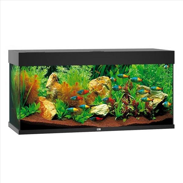 9b0c7042-d5f5-ef11-89f8-9ca2f4d6356b