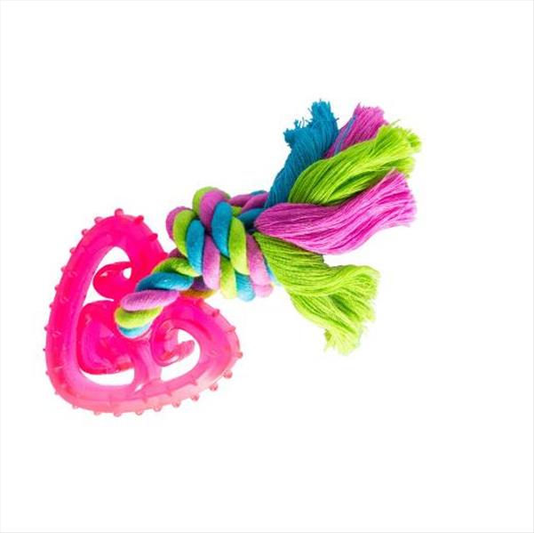 9e1672e6-9533-ef11-9c60-9ca2f4d6356b