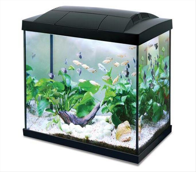 a238431a-aae6-ee11-b9b3-9ca2f4d6356b