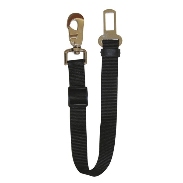 a46b0e26-ab21-f011-8d1a-bedd89906a57