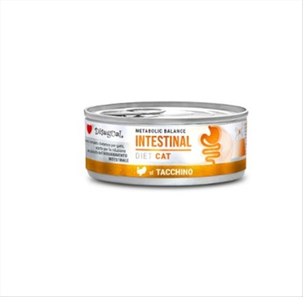 a5cea075-4027-f011-8d1a-bedd89906a57