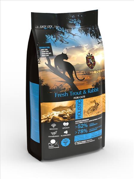 a6a22928-9c1a-f011-bc94-9ca2f4d6356b