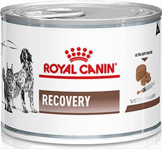 a869505f-1f11-ef11-a081-9ca2f4d6356b