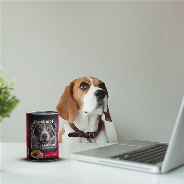 aae5ebd9-d97c-ef11-b5d8-9ca2f4d6356b