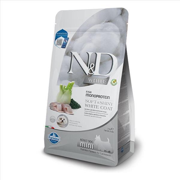 acc42f72-a516-ef11-809b-9ca2f4d6356b