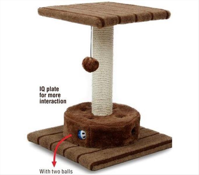 b3e522c9-5d6f-ef11-a579-9ca2f4d6356b